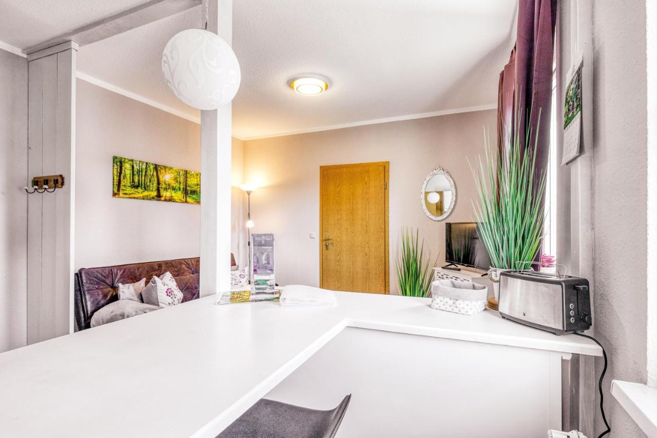 טאלה Ferienwohnung Ziesing Friedrichsbrunn מראה חיצוני תמונה