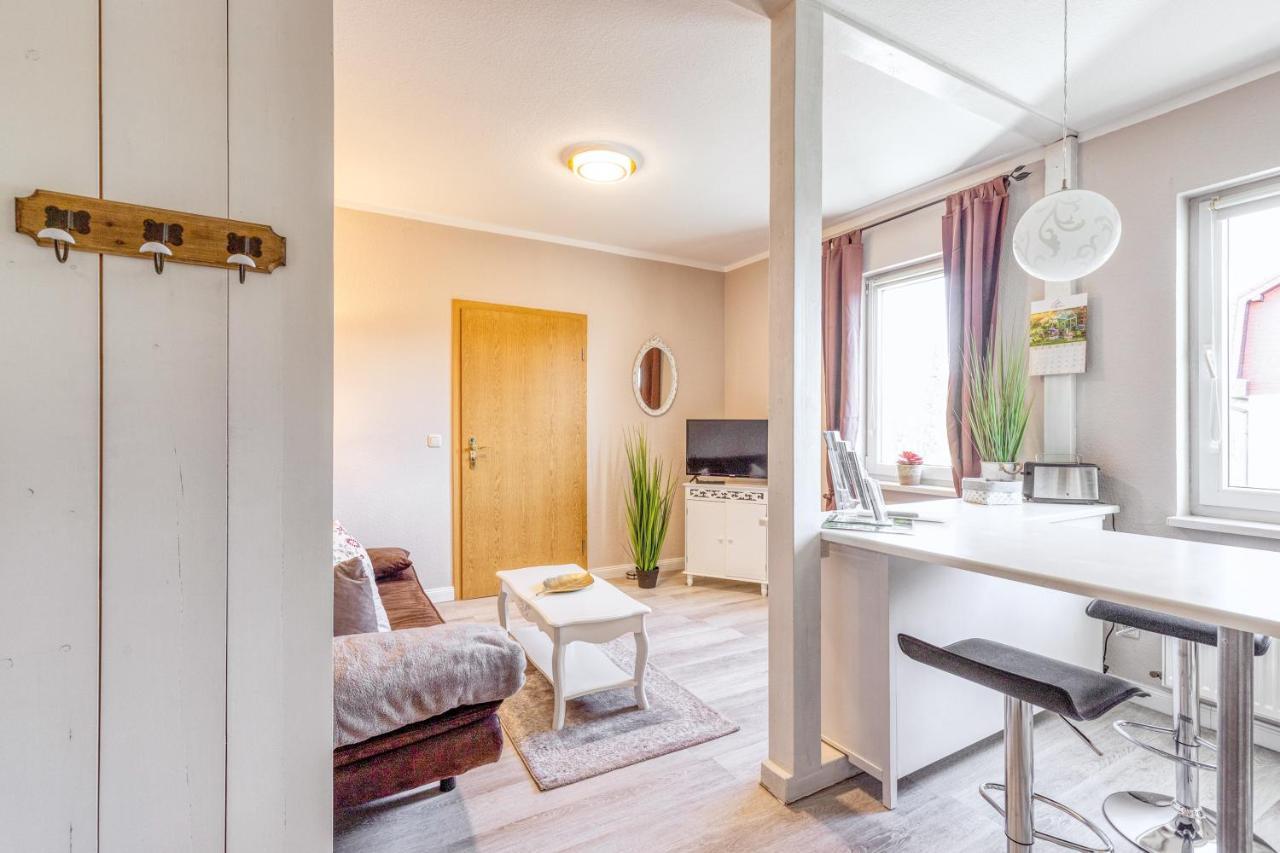טאלה Ferienwohnung Ziesing Friedrichsbrunn מראה חיצוני תמונה